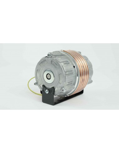 Motore Per Pompa A Palette Con...